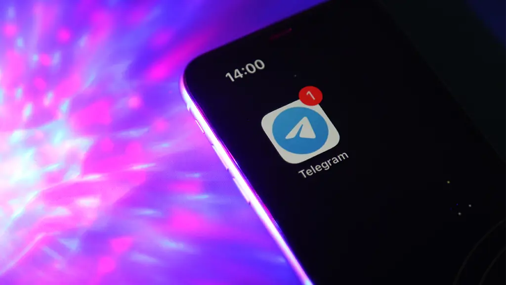 Human Rights Council Head Proposes Equating Major Telegram Channels with Media